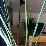 Koralia I Basen Z Podgrzewana Woda Apartment *