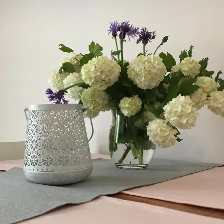 Koralia I Basen Z Podgrzewana Woda *