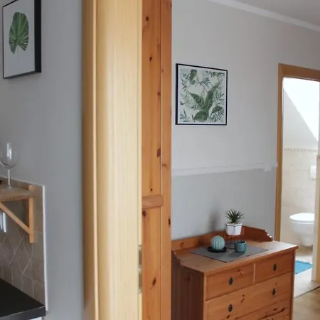 Koralia I Basen Z Podgrzewana Woda Sarbinowo