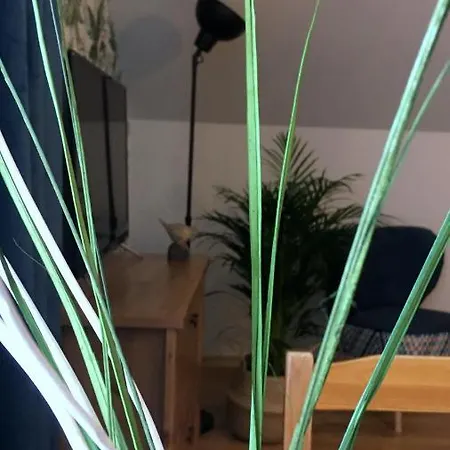 Koralia I Apartment *