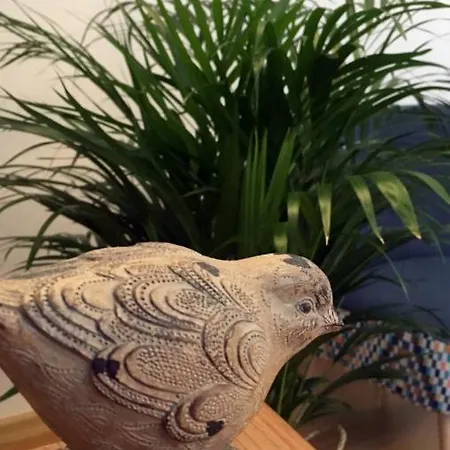 Koralia I Basen Z Podgrzewana Woda Apartment Sarbinowo