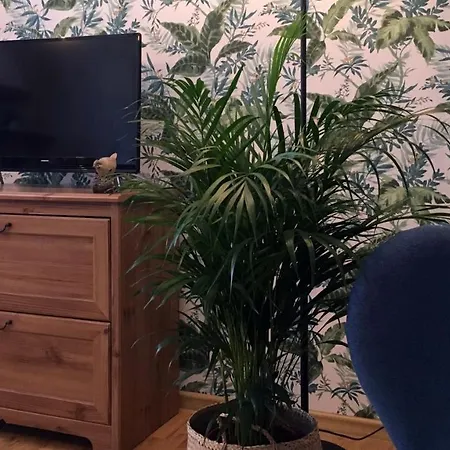 Koralia I Basen Z Podgrzewana Woda Apartment *