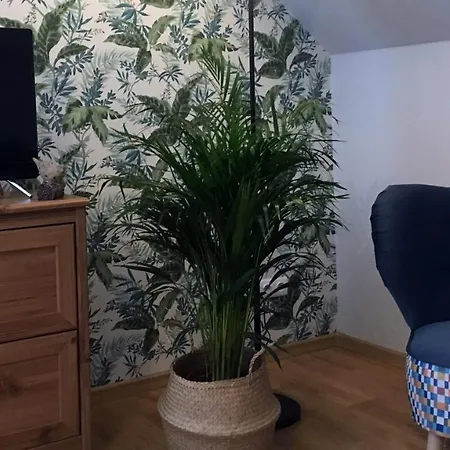 Apartment Koralia I Basen Z Podgrzewana Woda Sarbinowo